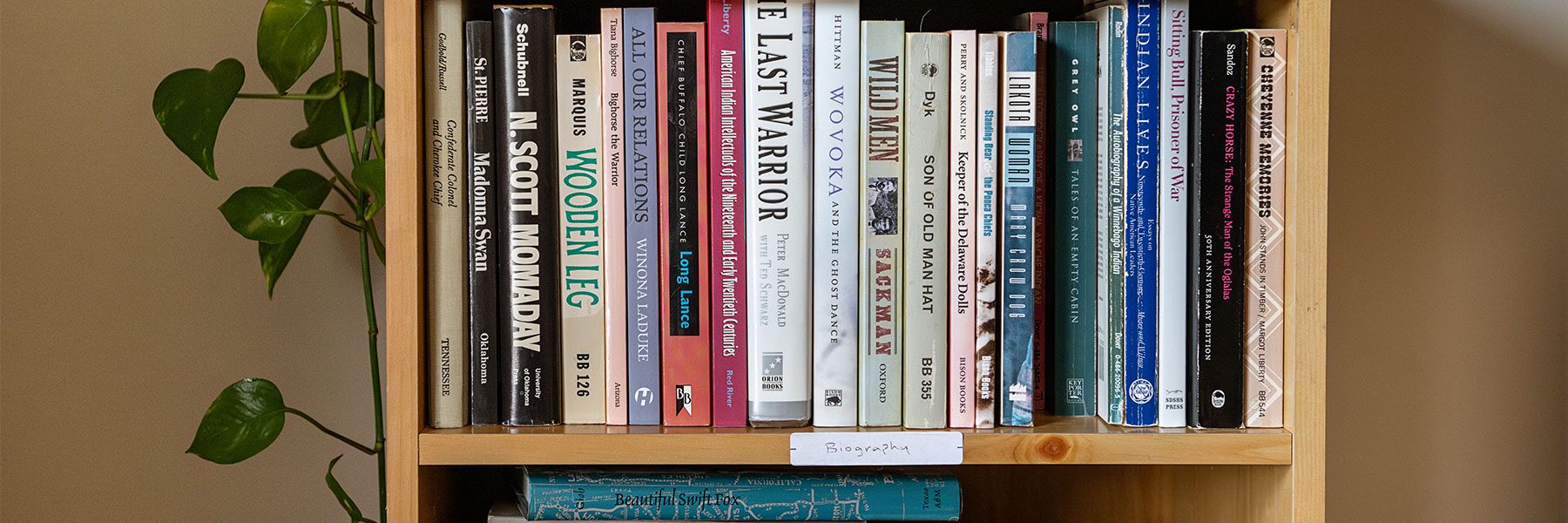 Bookshelf in Native American and Indigenous Studies program.